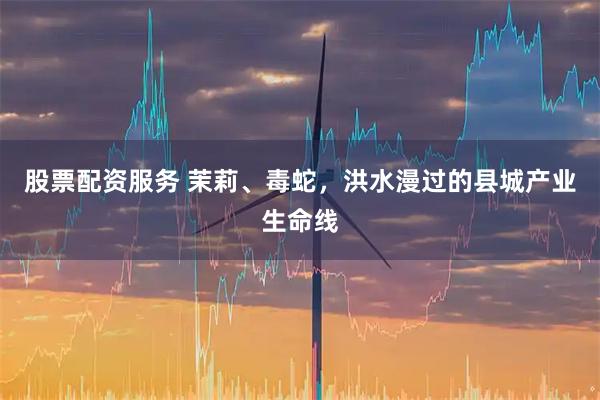 股票配资服务 茉莉、毒蛇,洪水漫过的县城产业生命线